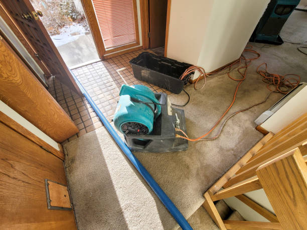 Best Emergency water damage restoration  in Siesta Acres, TX