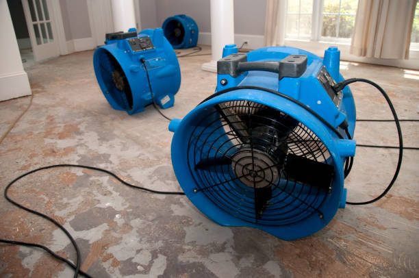 Best Water damage restoration services  in Siesta Acres, TX
